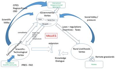 Controversies and Common Ground in Wild and Domestic Fine Fiber Production in Argentina